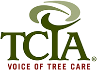 TCIA website home page